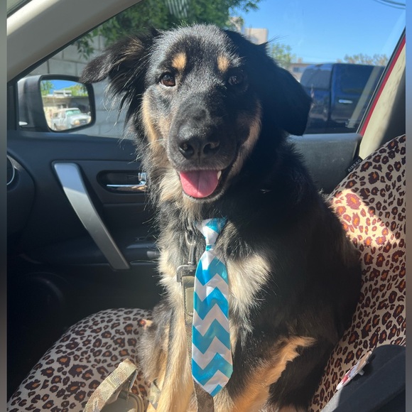 Meet your Posher, Melissa - Picture 8 of 10